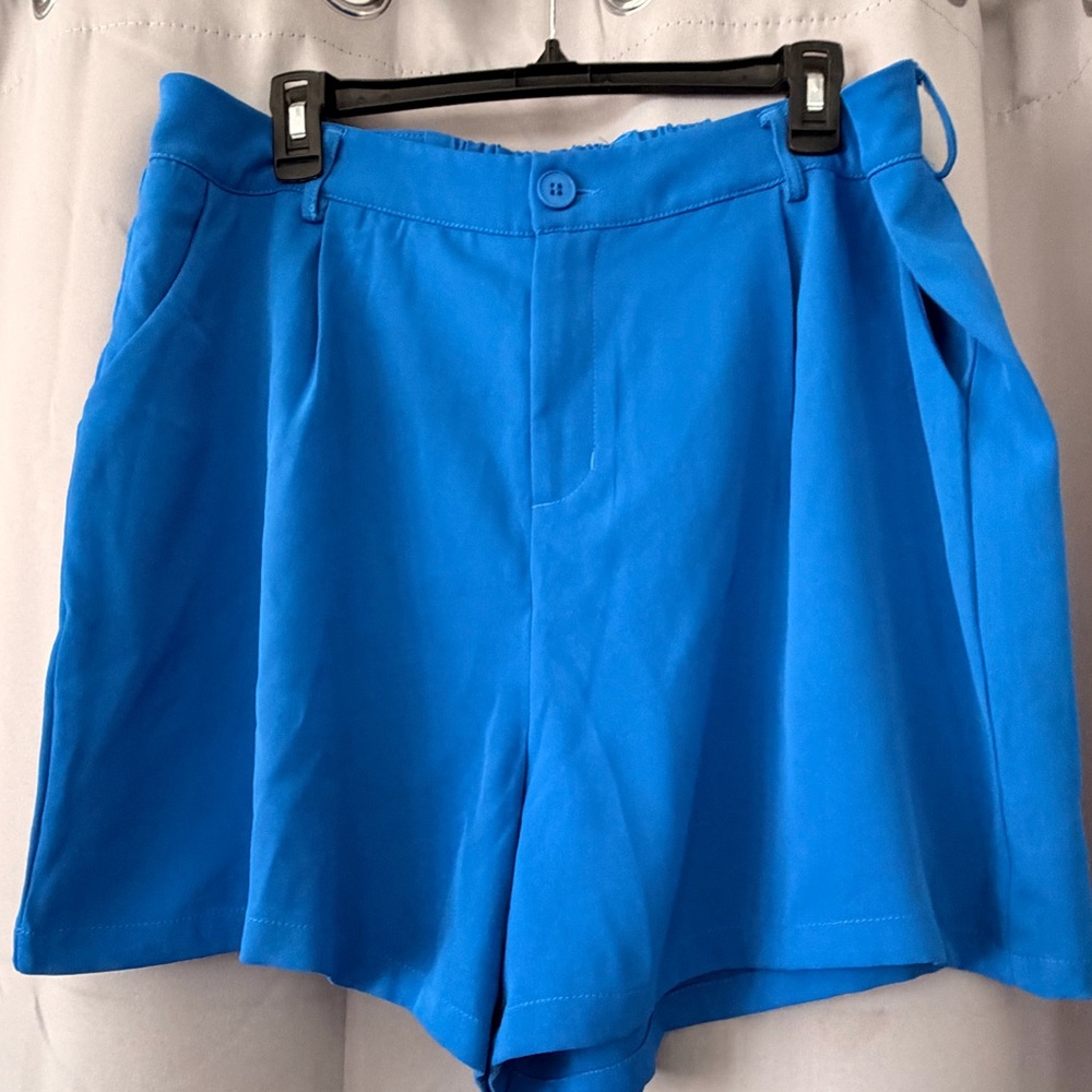 LIKE NEW Women's 2X Blue Pleated Shorts